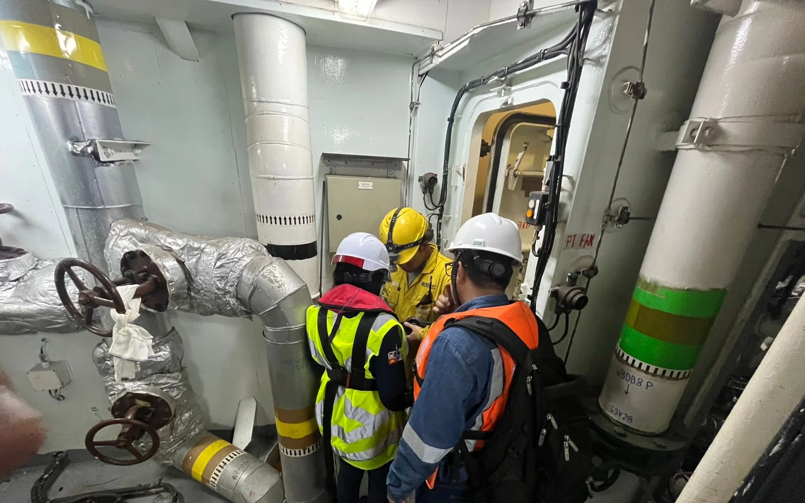 WITNESS SURVEY — DINSEP marine service
